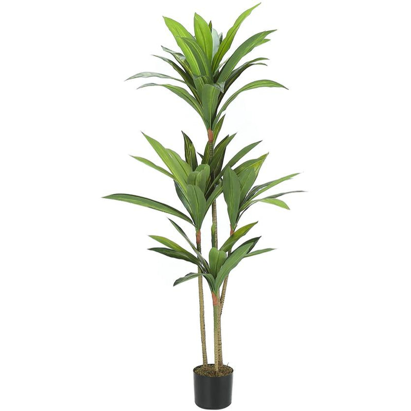 Monarch I 9543 Artificial Plant Indoor Dracaena Tree IMAGE 3