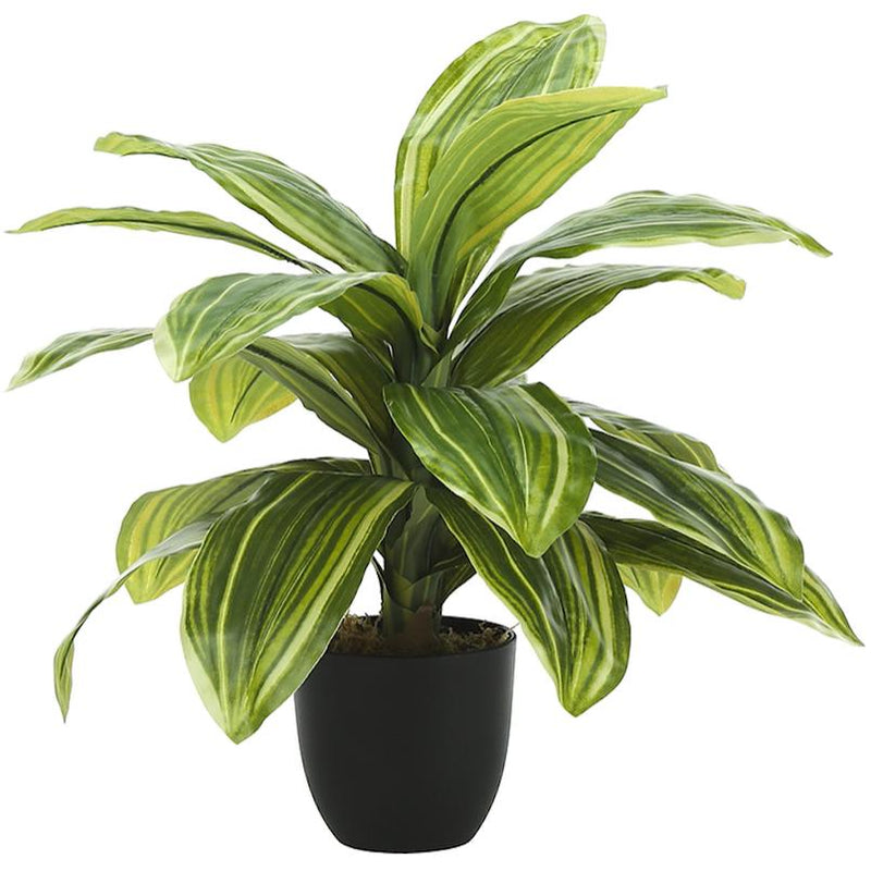 Monarch I 9573 Artificial Plant Indoor Dracaena IMAGE 1