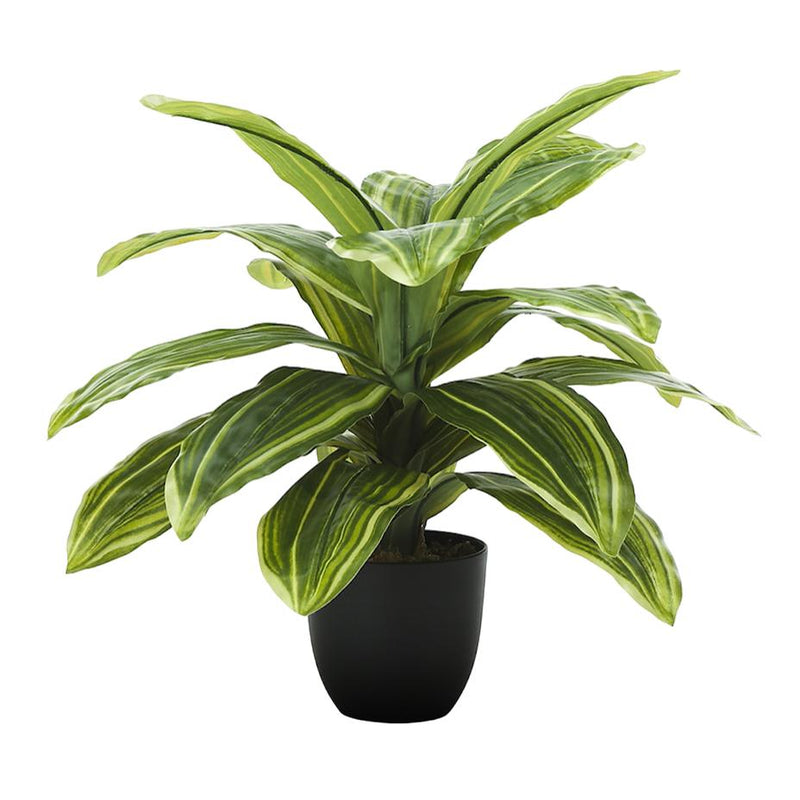 Monarch I 9573 Artificial Plant Indoor Dracaena IMAGE 3