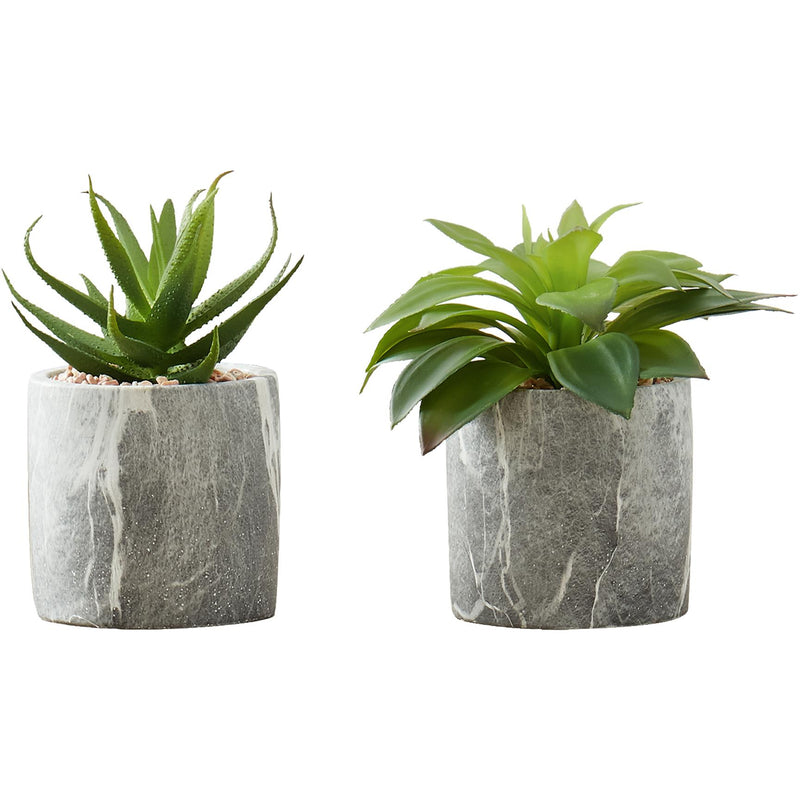 Monarch I 9586 Artificial Plants Indoor 2pcs Succulent IMAGE 1