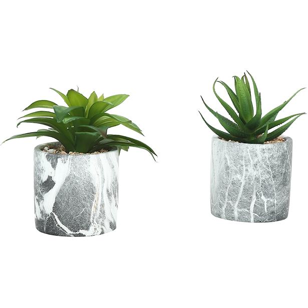 Monarch I 9586 Artificial Plants Indoor 2pcs Succulent IMAGE 6