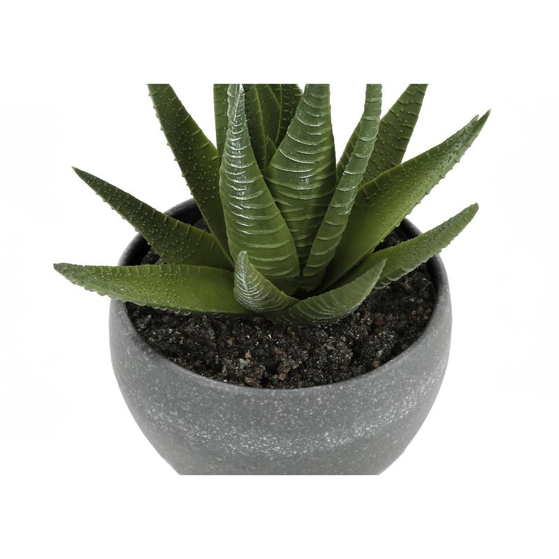 Monarch I 9587 Artificial Plants Indoor 3pcs Succulent IMAGE 6